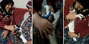 Kediyi Sevgi Yumağı Haline Getiren Teyzelerin Tekrar Tekrar İzleyeceğiniz Muhteşem Anları