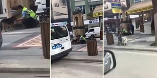 Susuz Kalan Köpeğe Elleriyle Su İçiren Muhteşem Polis