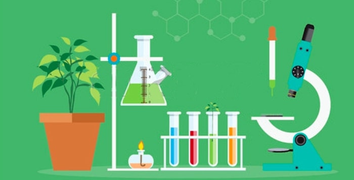 Тест: Если вы ответите на все вопросы, то ваша учительница по биологии может вами гордиться