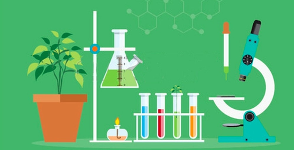 Тест: Если вы ответите на все вопросы, то ваша учительница по биологии может вами гордиться