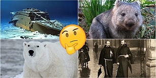 İddia Ediyoruz, Bunları Daha Önce Hiç Duymadınız! Okuyunca "Vay Be!" Diyeceğiniz Birbirinden İlginç 20 Bilgi