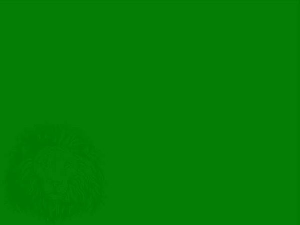 4. Что вы здесь видите?