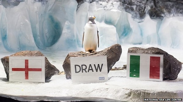 К сожалению, в 2012 году Пауль покинул этот мир, но его успех и репутация позволили другим животным искупаться в лучах славы в 2014 году.