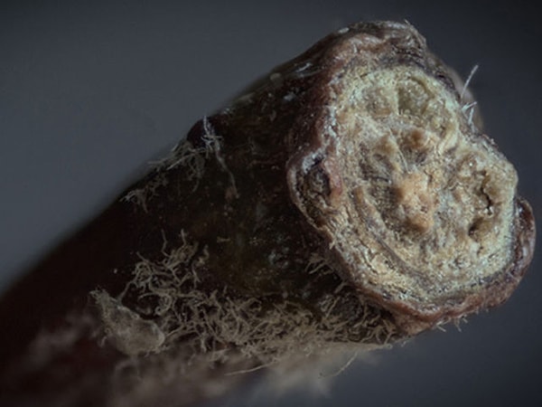 7. Что здесь изображено?