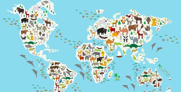 Тест: Сможете ли вы угадать, в каких частях света обитают все эти животные?
