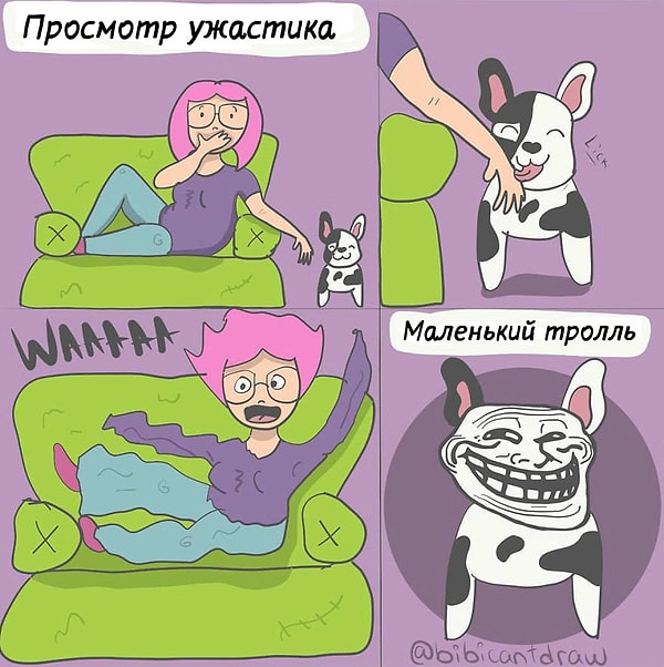 4. У кого есть собака или кошка?