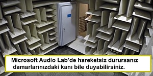 Dünyaya Karşı Algınızı Açıp Beyninize Su Gibi Gelecek 16 İlginç Bilgi