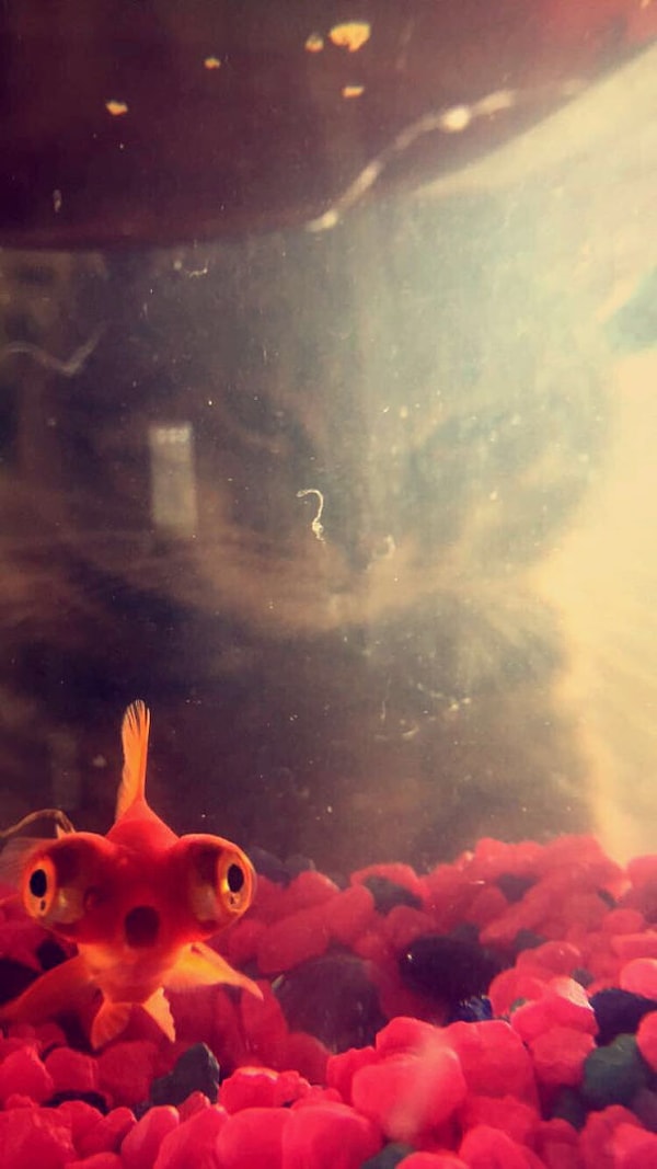 3. "Он позади меня, да?!"