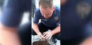 Kalp Masajı Yaparak Serçeyi Hayata Döndüren Mükemmel Polis