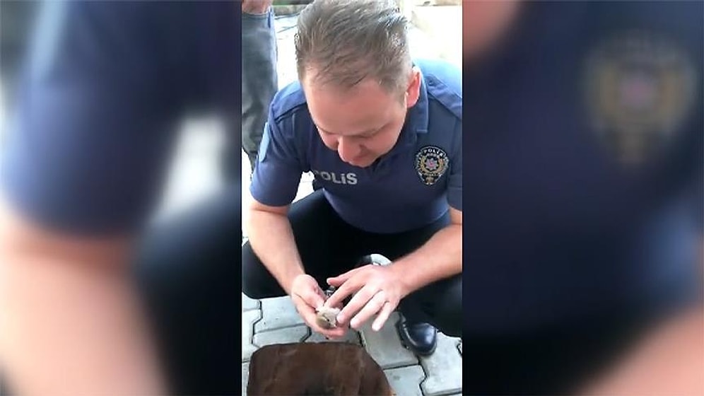 Kalp Masajı Yaparak Serçeyi Hayata Döndüren Mükemmel Polis