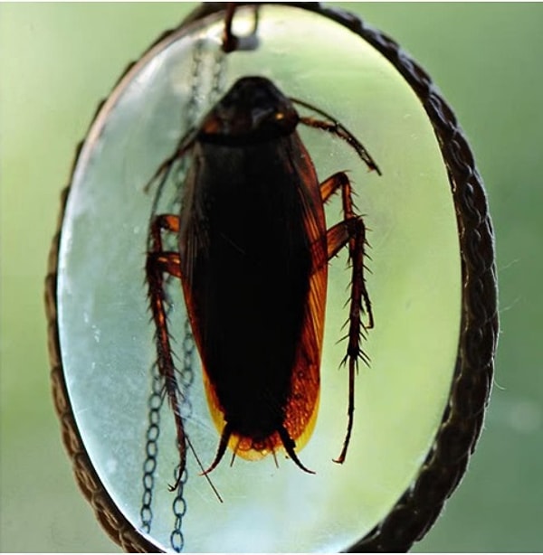 10. Ожерелье с тараканом... Хотите себе такое?