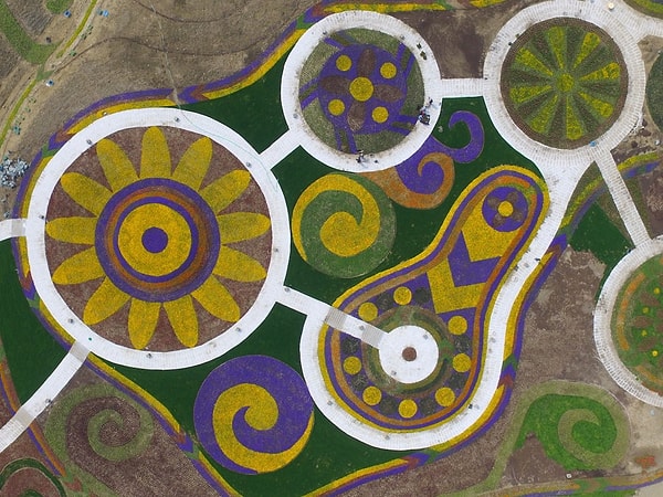 19. Магия цветов 😍