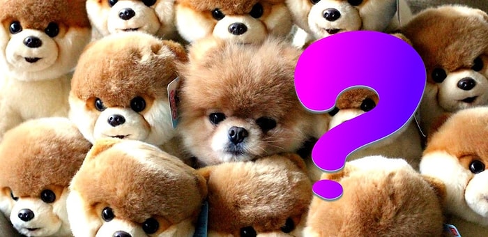 Тест: Сможете ли вы доказать, что у вас острый глаз, найдя всех замаскированных животных?