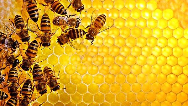 Rüyada çok sayıda arı görmek