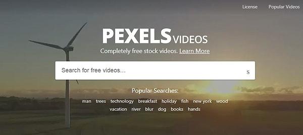 15. videos.pexels.com
