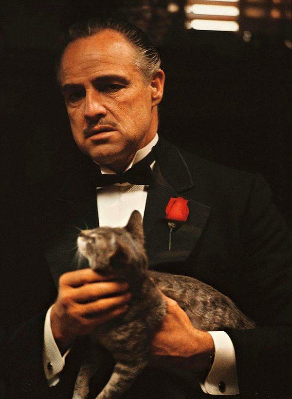2. The Godfather