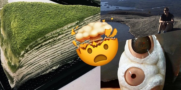 Kapak Görseli