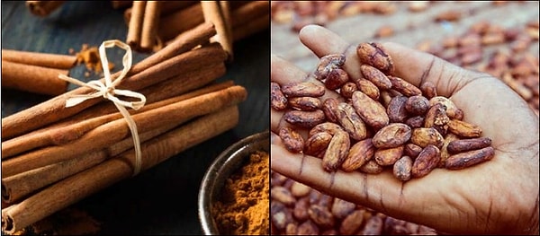 3. Что из этого мы получаем из коры дерева?