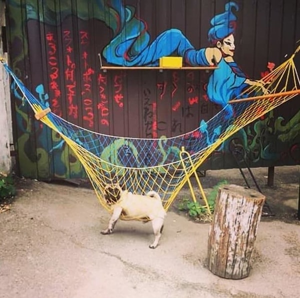 15. "Помогите"