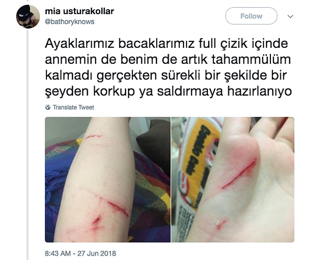 7. Nickin hikayesi belli oldu.