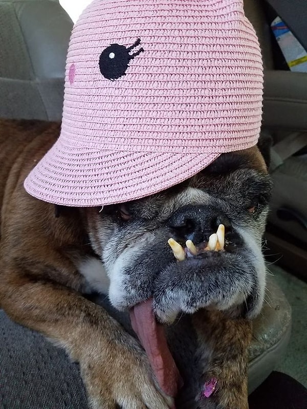 Оставляем вас наедине с "милашкой", победившей в этом конкурсе!:)