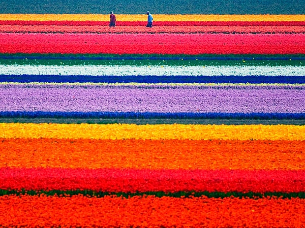 Посмотреть правильный ответ: