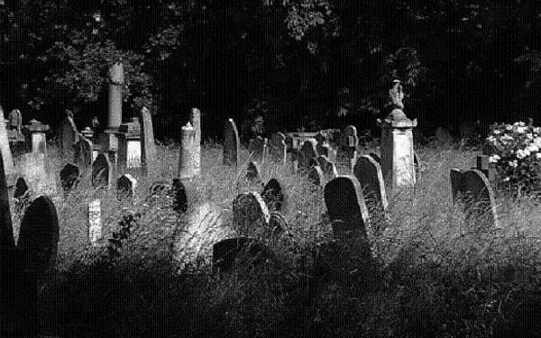 2. Geceleri mezarlıkta tek başına yürüyebilir misin?