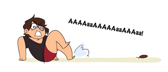 Основано на реальных событиях: Полная сюрпризов жизнь с тараканами в картинках