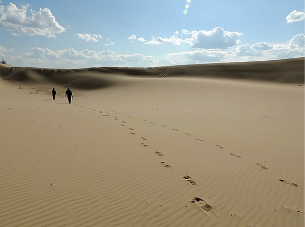 5. В этом регионе России пески занимают площадь около 60 000 кв. км!