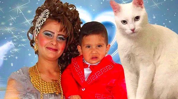 14. Dosta Düşmana Herkese Korku Veren Psikopat Kediye Yapılmış 15 Komik Photoshop