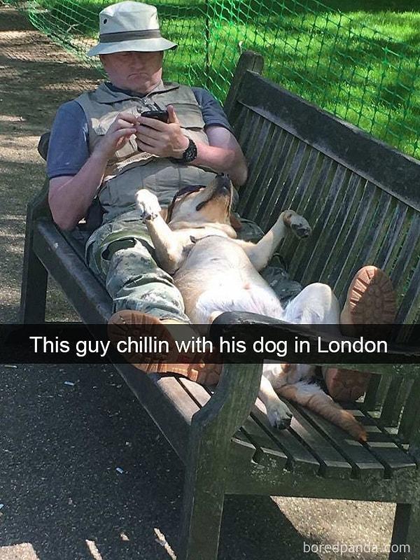 8. "Londra'da köpeğiyle vakit geçiren bu adam..."