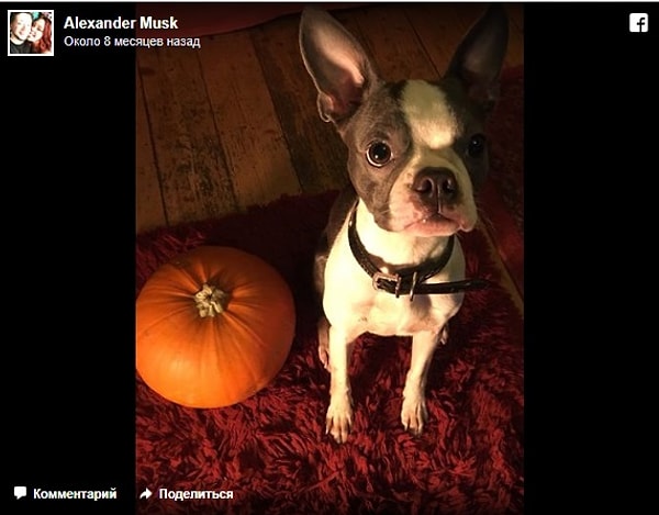 После долгого 18-часового путешествия Алекс встретил Сэмм на вокзале.