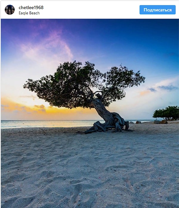 13. Игл Бич, Аруба