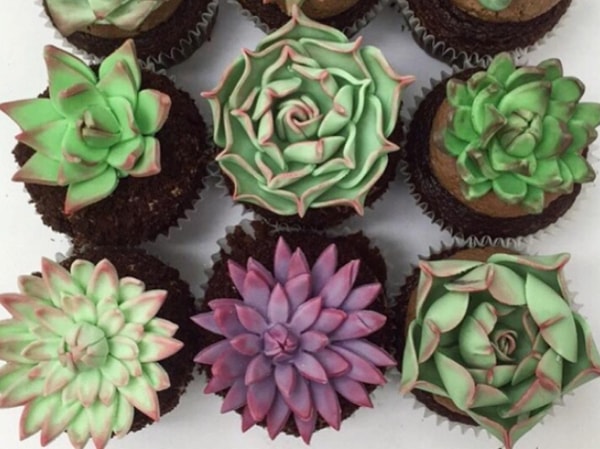 4. А это что у нас, кактусы?