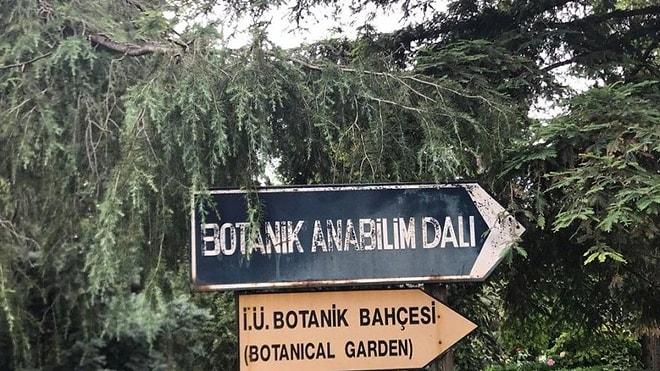 İstanbul Üniversitesi Bünyesindeki Şehrin İlk ve Tek Botanik Bahçesi Müftülük İçin Tahliye Ediliyor...