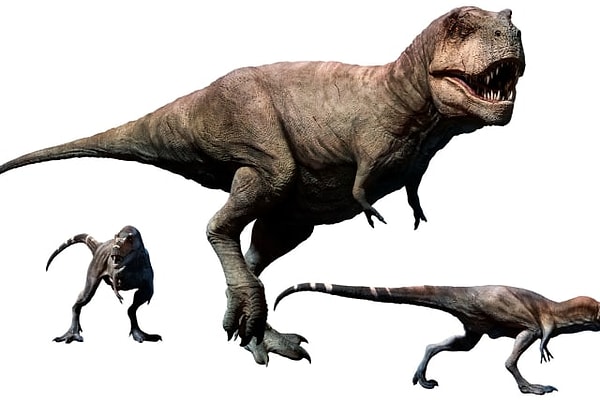 2. Итак, король динозавров...