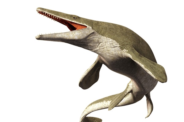 11. "Мир Юрского периода" обратил особое внимание на этого морского титана, хотя технически он и не является динозавром.