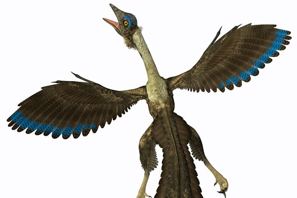 13. А это что за существо?