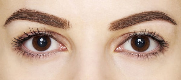 8. Какова главная функция бровей?