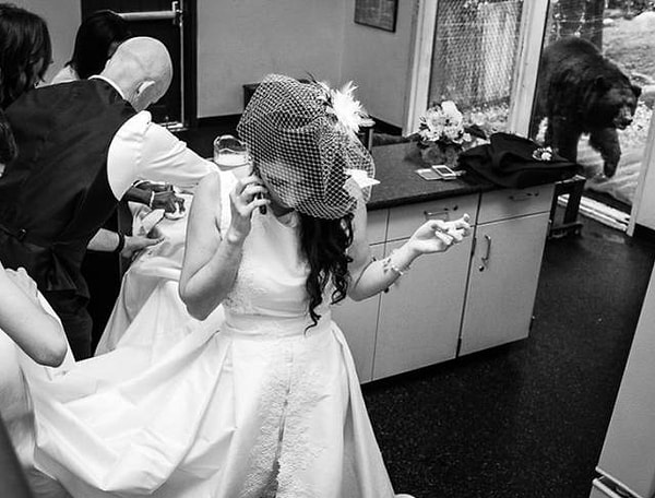 2. "Ща буит мясо"