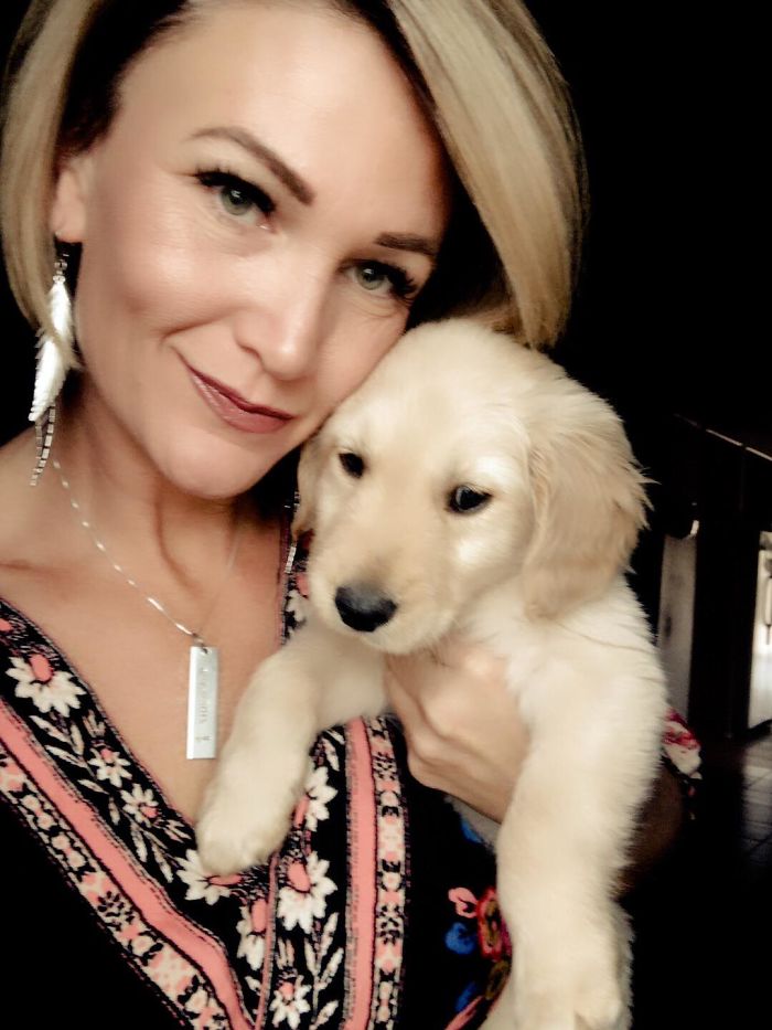 Kahraman Köpek Todd Sahibinin Hayatını Kurtararak Köpeklerin En İyi