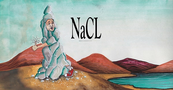 12. NaCl известен также как...