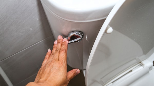 7. В какой стране нельзя смывать унитаз после десяти вечера?