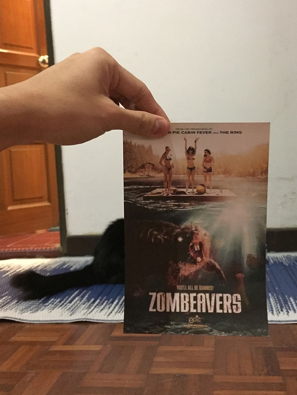 15. "Бобры-зомби"