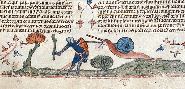 14. Ortaçağ metinlerinde şövalyelerle dev salyangozların dövüştüğüne dair pek çok tasvir var. Kimse nedenini bilmiyor.