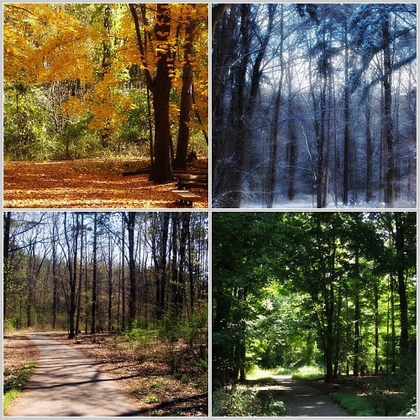 2. Вы бы хотели работать в помещении или на улице?