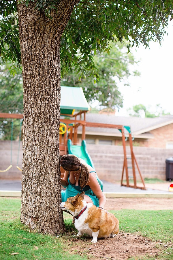 2. К сожалению, через некоторое время после рождения Бойда, семья потеряла питомца из-за лимфомы.