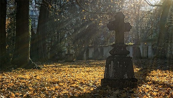 13. "Я посмотрел в мамины глаза и увидел твою могилу", - это слова моего сына, когда ему было четыре года."