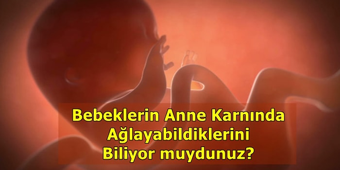 Hamilelikle İlgili Muhtemelen Daha Önce Duymadığınız Birbirinden Garip Ama Gerçek 9 Bilgi