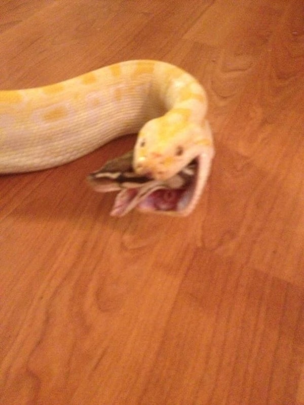 13. Бог ты мой!